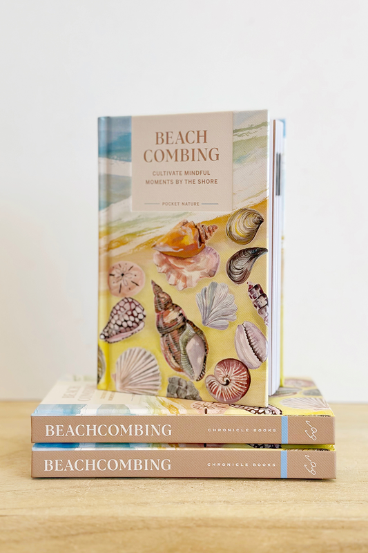 Pocket Nature Series: Beachcombing