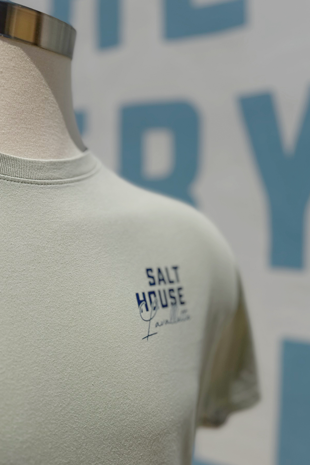 Salt House Salty Seagull Tee