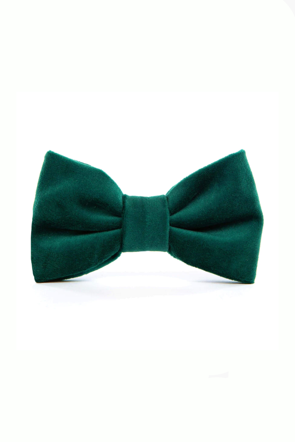 Velvet Dog Bow Tie