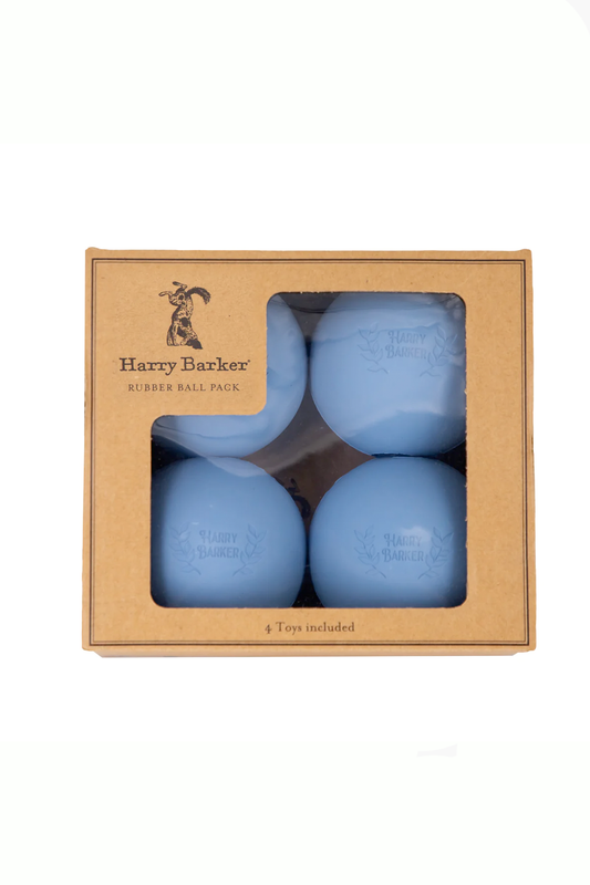 4 Pack Rubber Ball Set Large