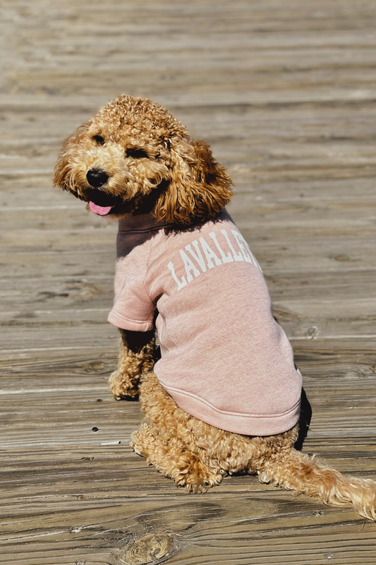 LAVALLETTE  Pet Graphic Sweatshirt