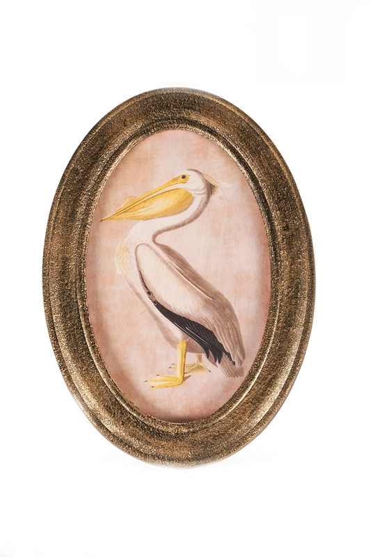 Pelican Oval Framed Wall Art
