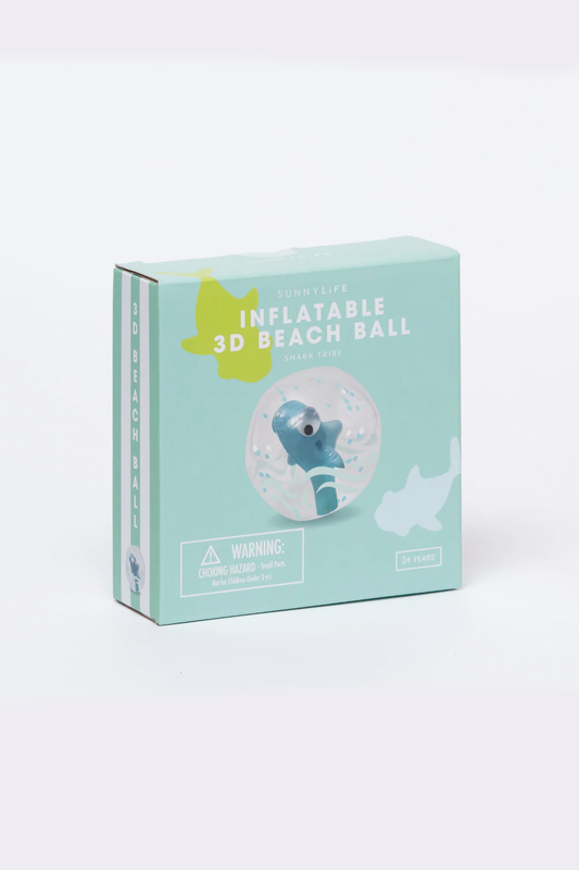 3D Inflatable Beach Ball