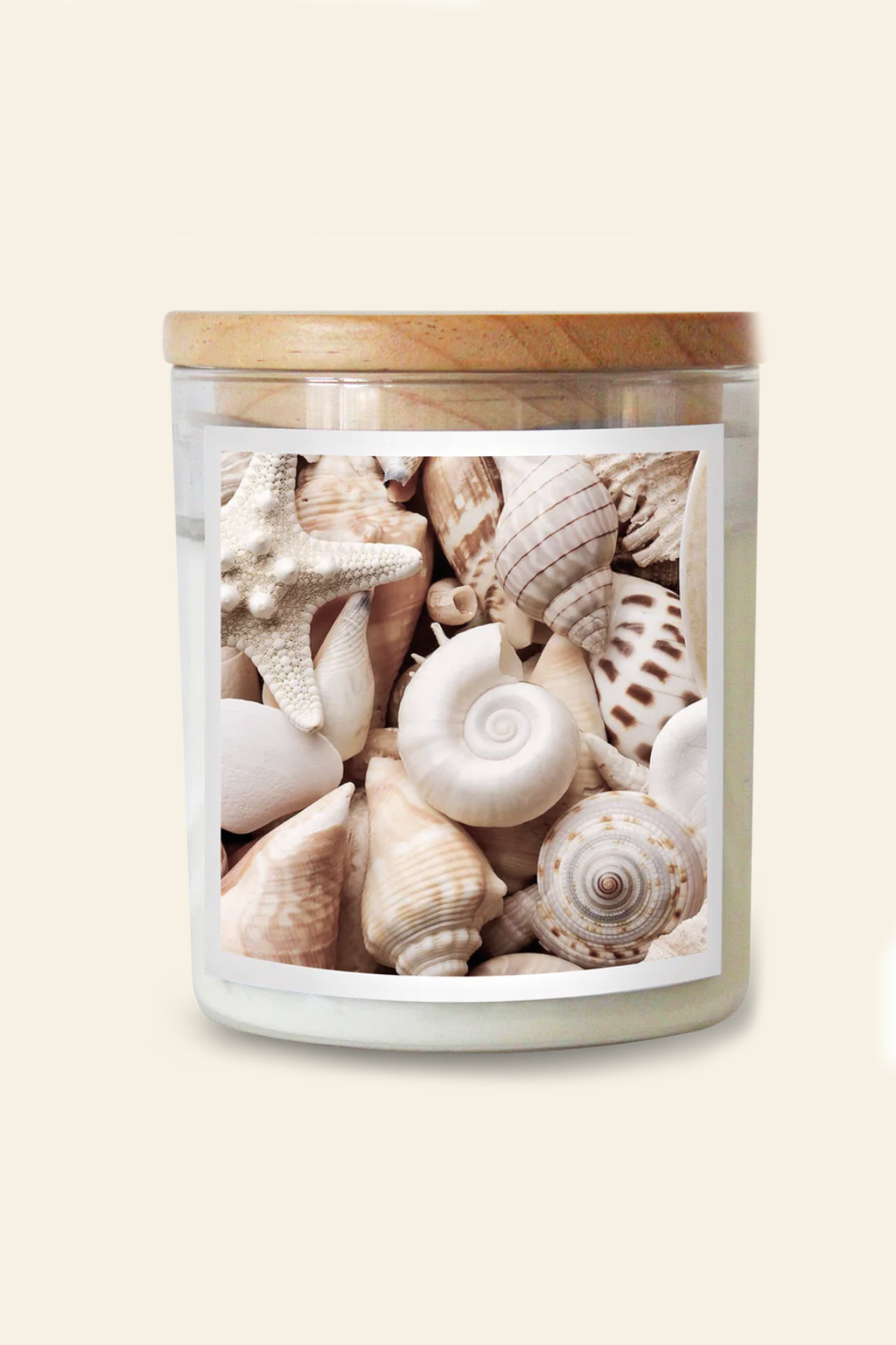 Shell Creatures Candle