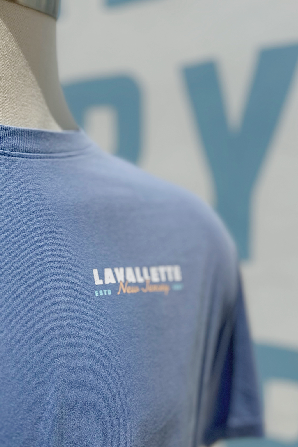Lavallette Surfing Seagull Tee