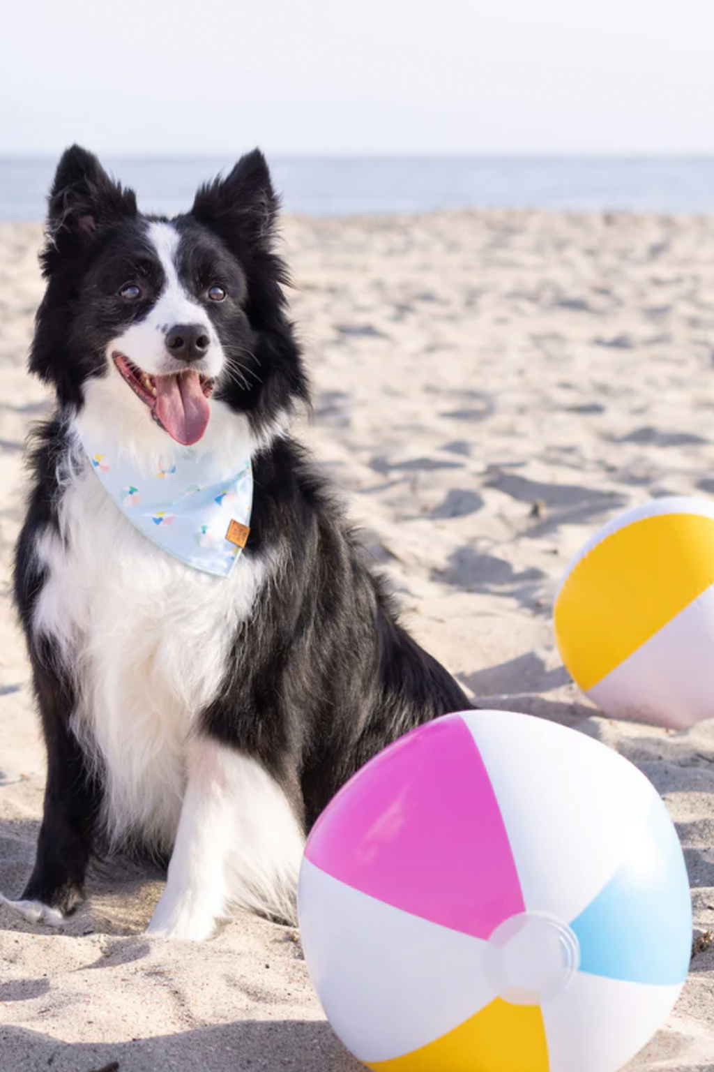 Beach Ball Bandana