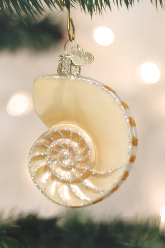 Nautilus Shell Ornament
