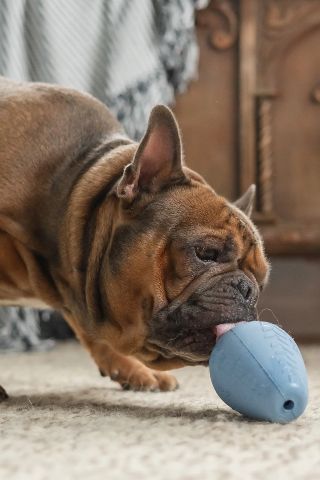 Durable Rubber Treater Toy