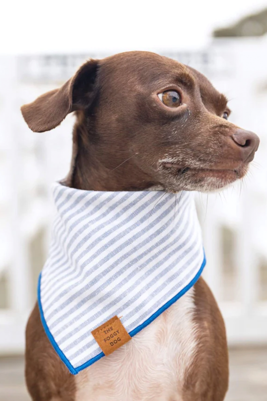 Blue Stripe Bandana