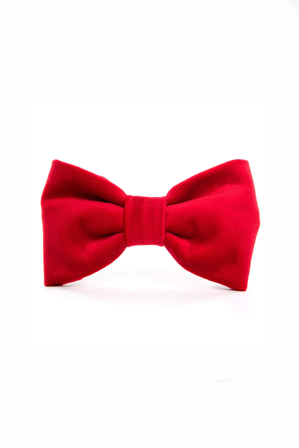 Velvet Dog Bow Tie
